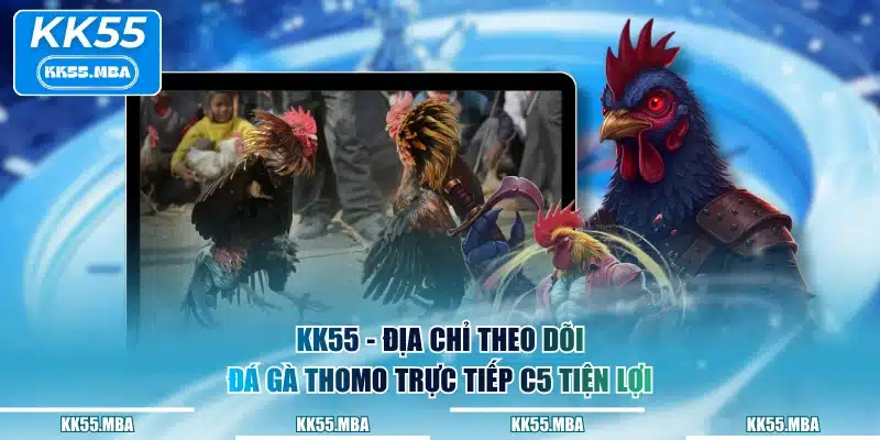 KK55 - Địa chỉ theo dõi đá gà Thomo trực tiếp C5 tiện lợi
