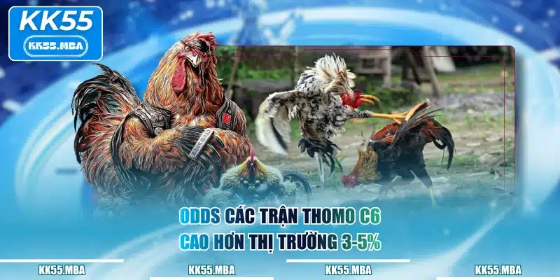 Odds các trận Thomo C6 cao hơn thị trường 3-5%